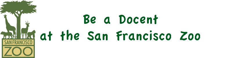 Be a Docent at the San Francisco Zoo